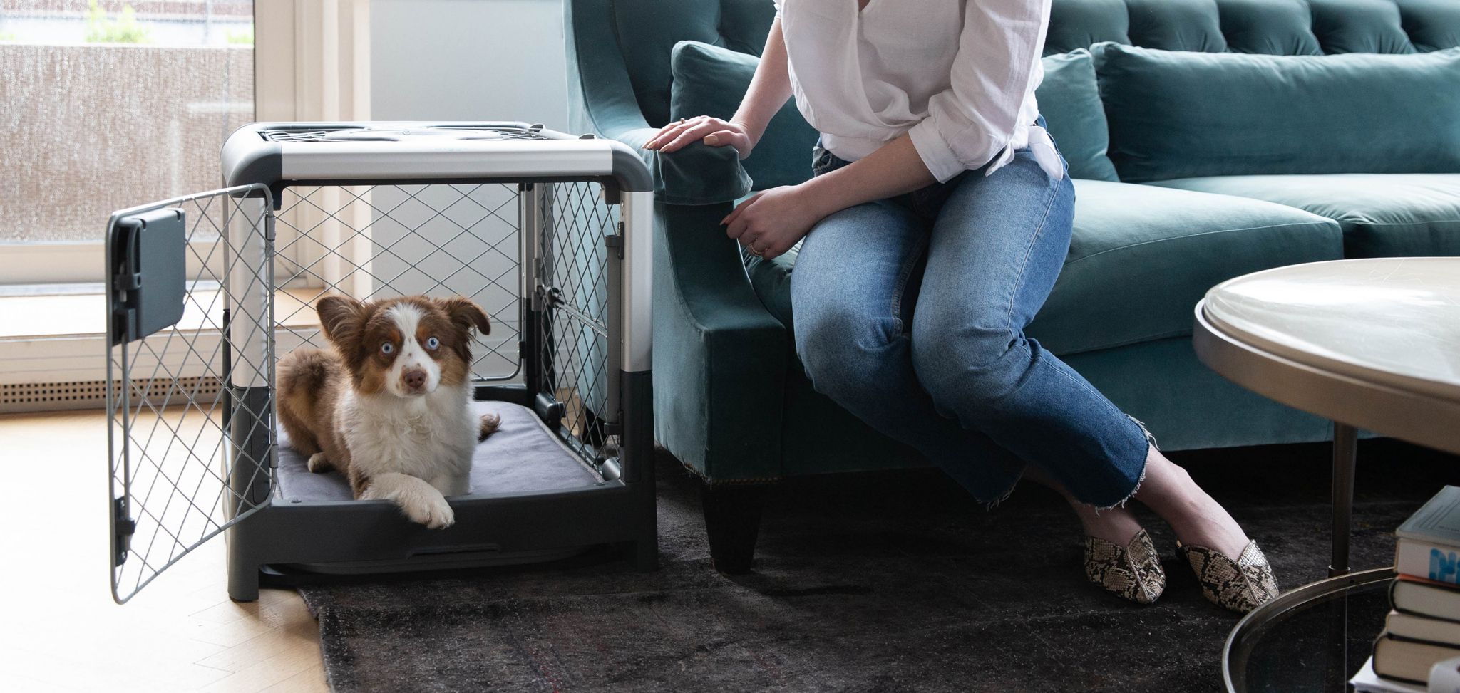 Curated visual reference: Fresh Look at 5 Tips To Get Started With Crate Training