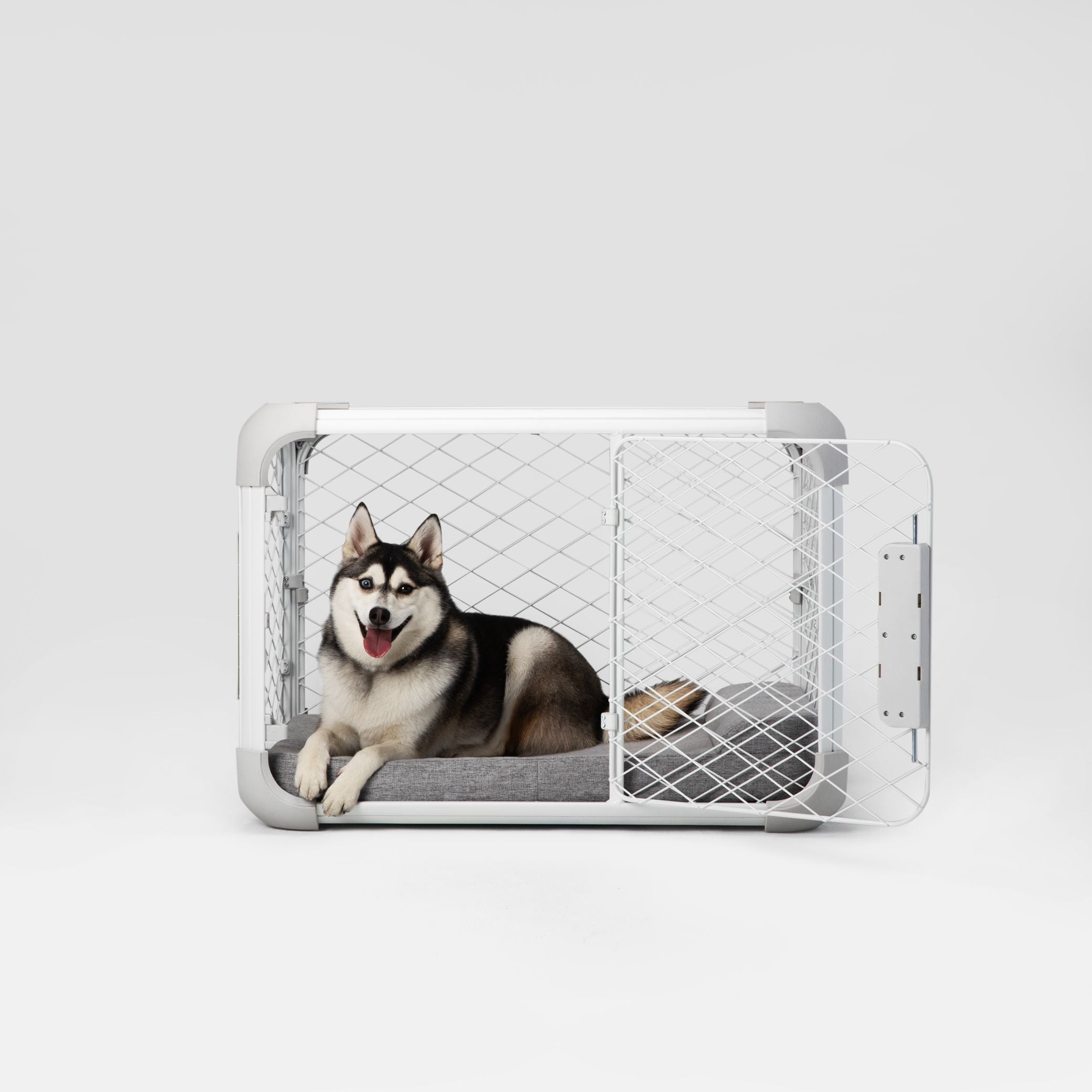 Destructive Crate Behavior: Causes & Prevention