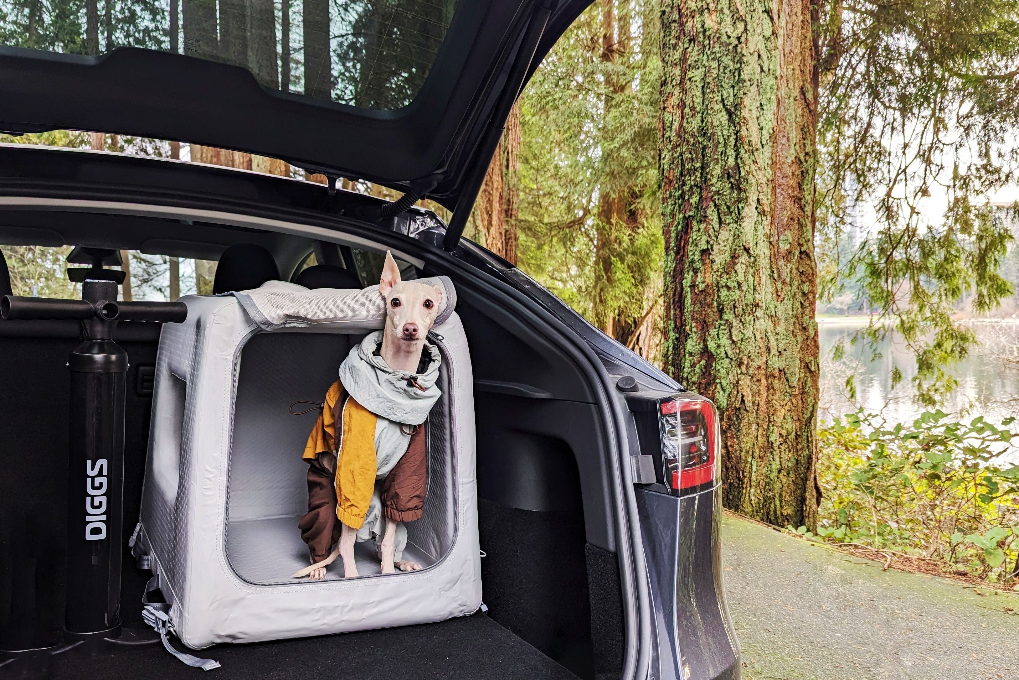 How to Choose a Dog Camping Crate