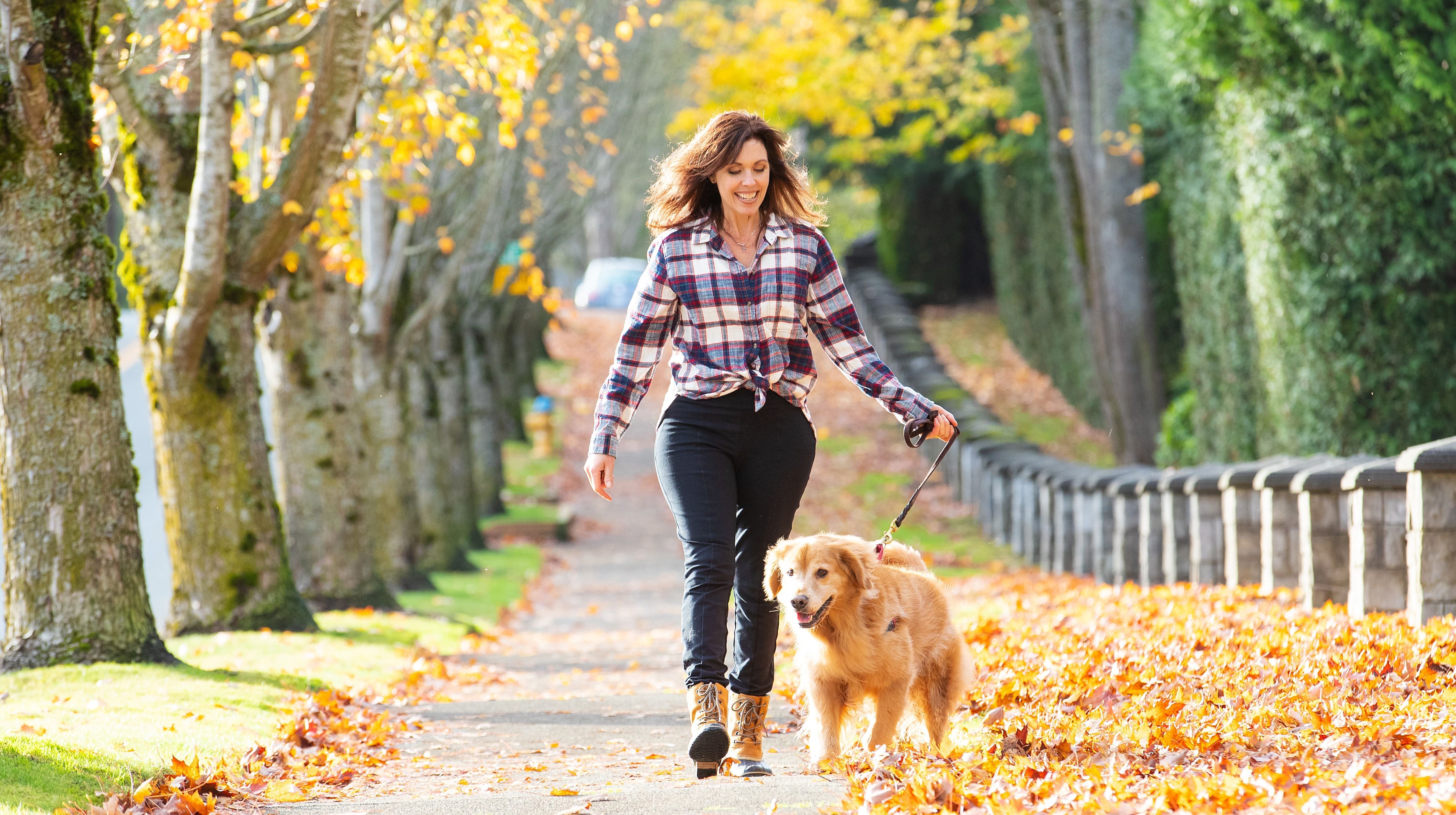How Do You Know if Your Dog Has Allergies? 6 Tell-Tale Signs