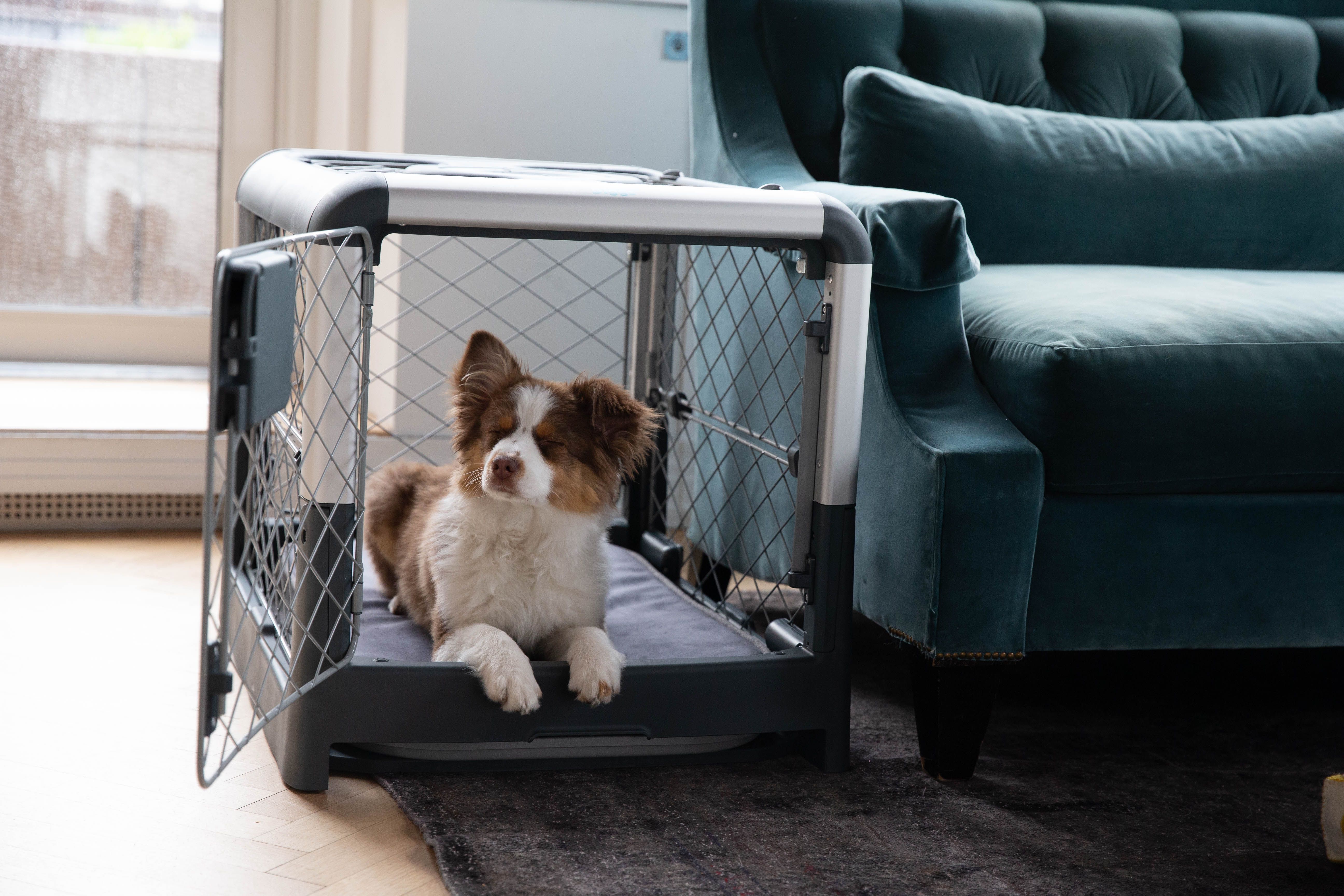 Puppy Crate Training Schedule: A How-To Guide