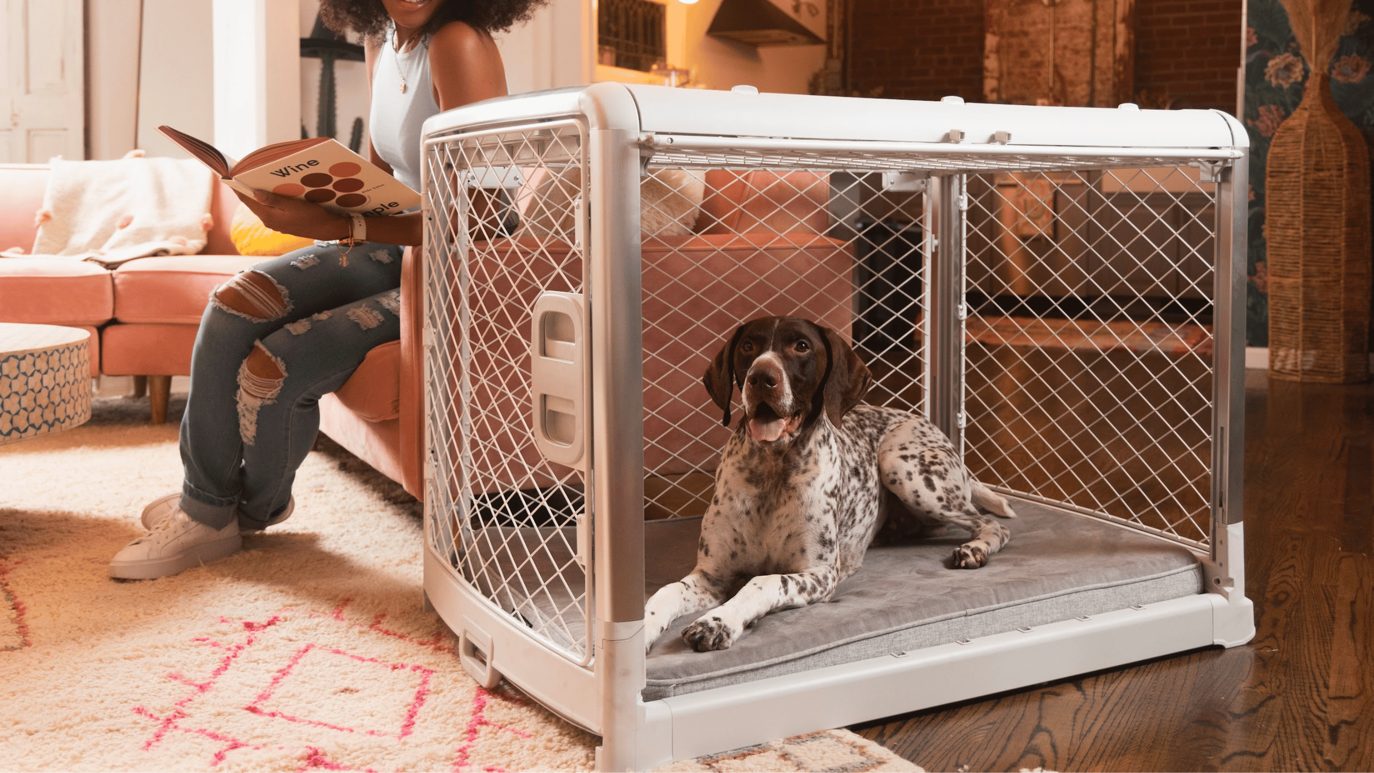 The Best Dog Crates: Diggs Dog Crate Comparison Guide