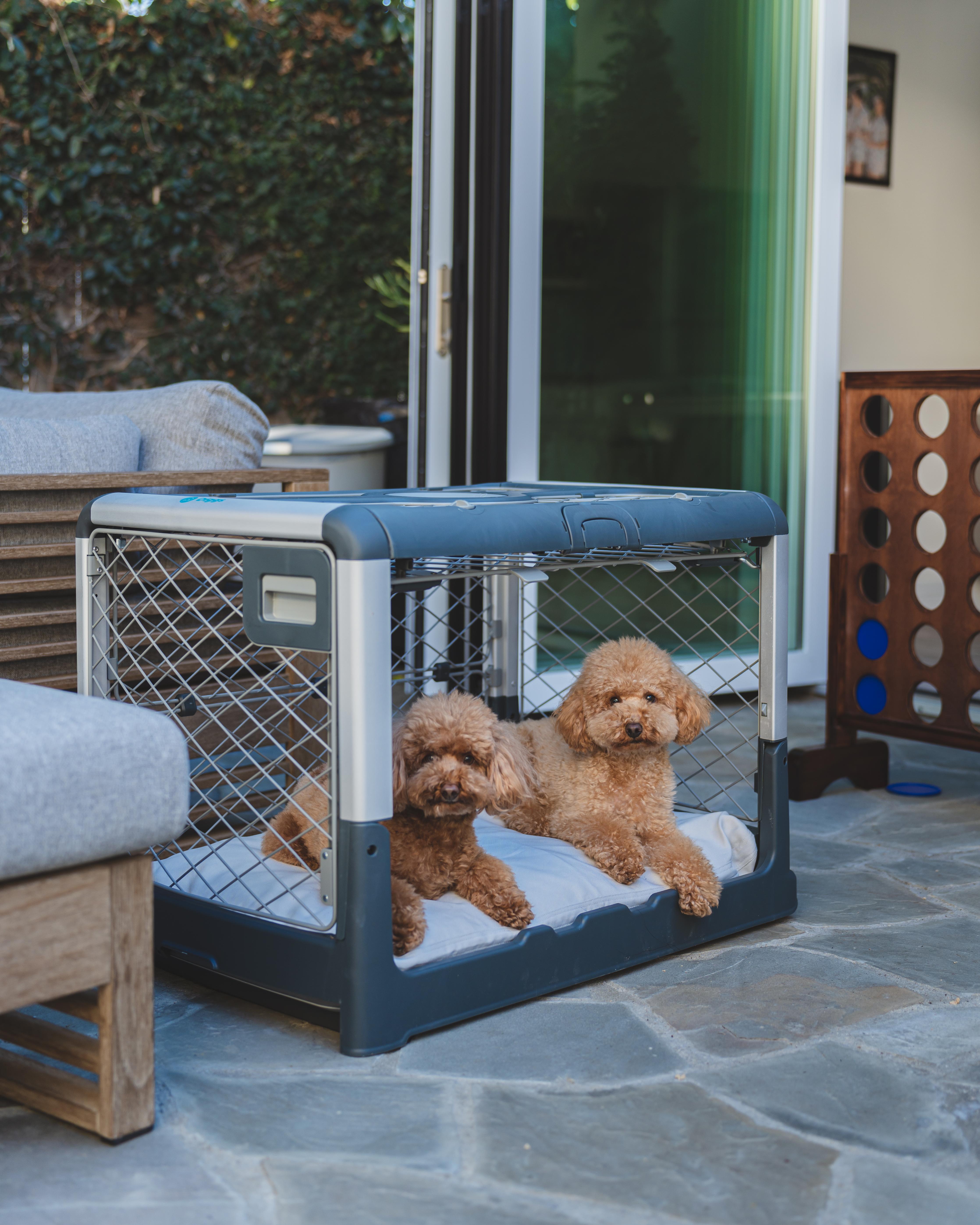 Holiday Pet Tips: Keeping Pets Calm This 4th of July