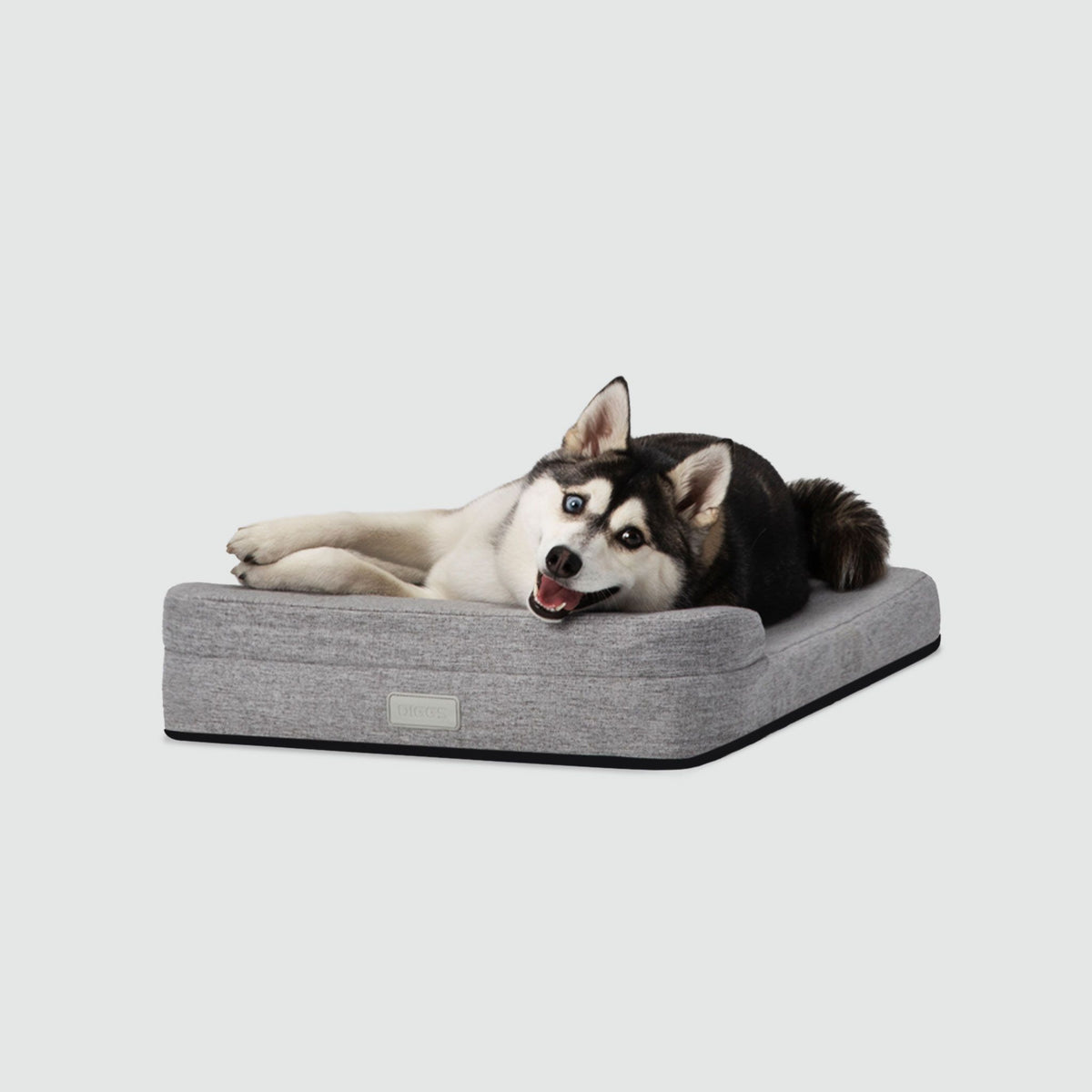 A husky dog laying on a Bolstr bed with its head on the bolster