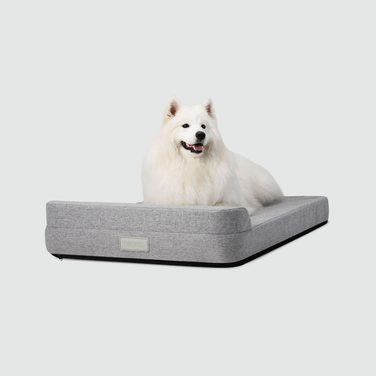 A dog laying on a Bolstr bed