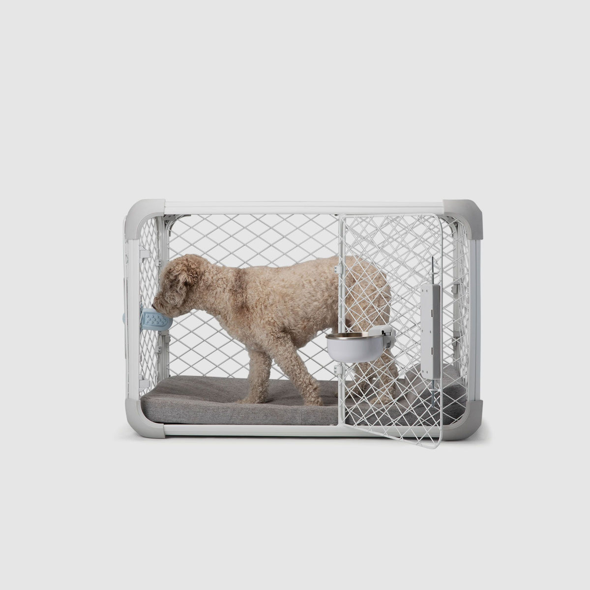 Side view of a dog licking a Groov inside an Evolv Dog Crate with open side door and a Bolstr bed inside the crate.