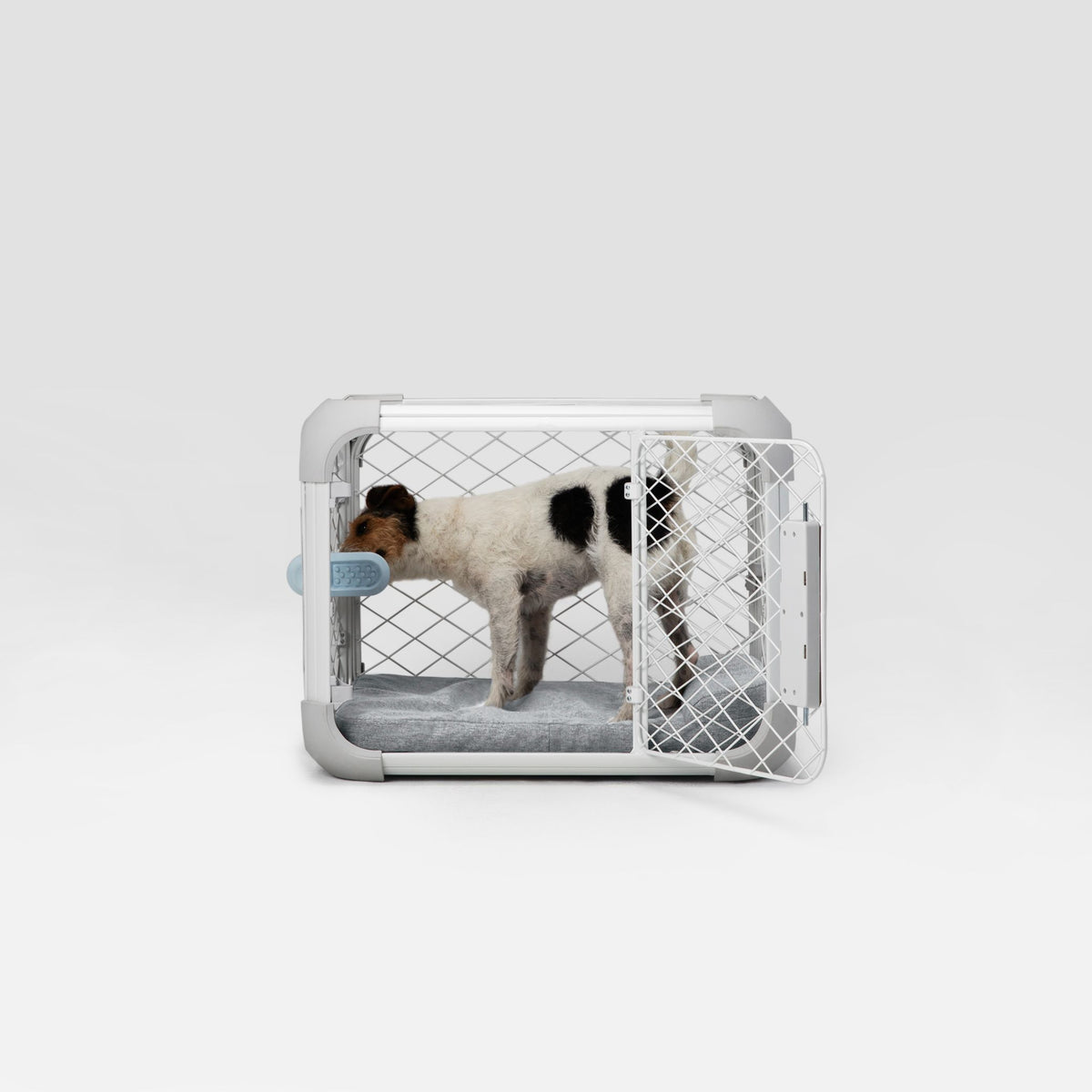 Side view of a dog licking a Groov inside an Evolv Dog Crate with open side door and a Bolstr bed inside the crate.
