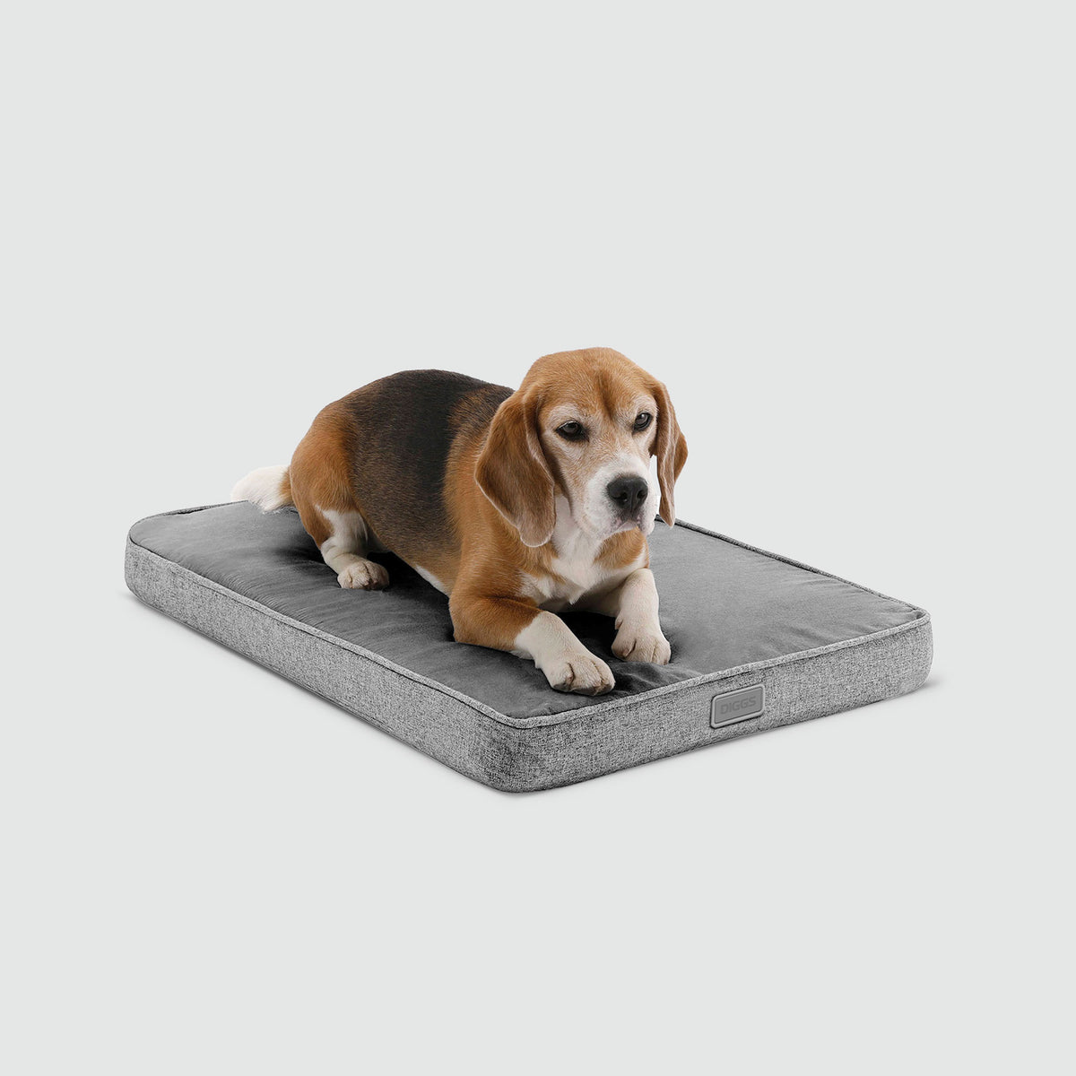 A Beagle laying on a Snooz pad pictured from the front on a white background.