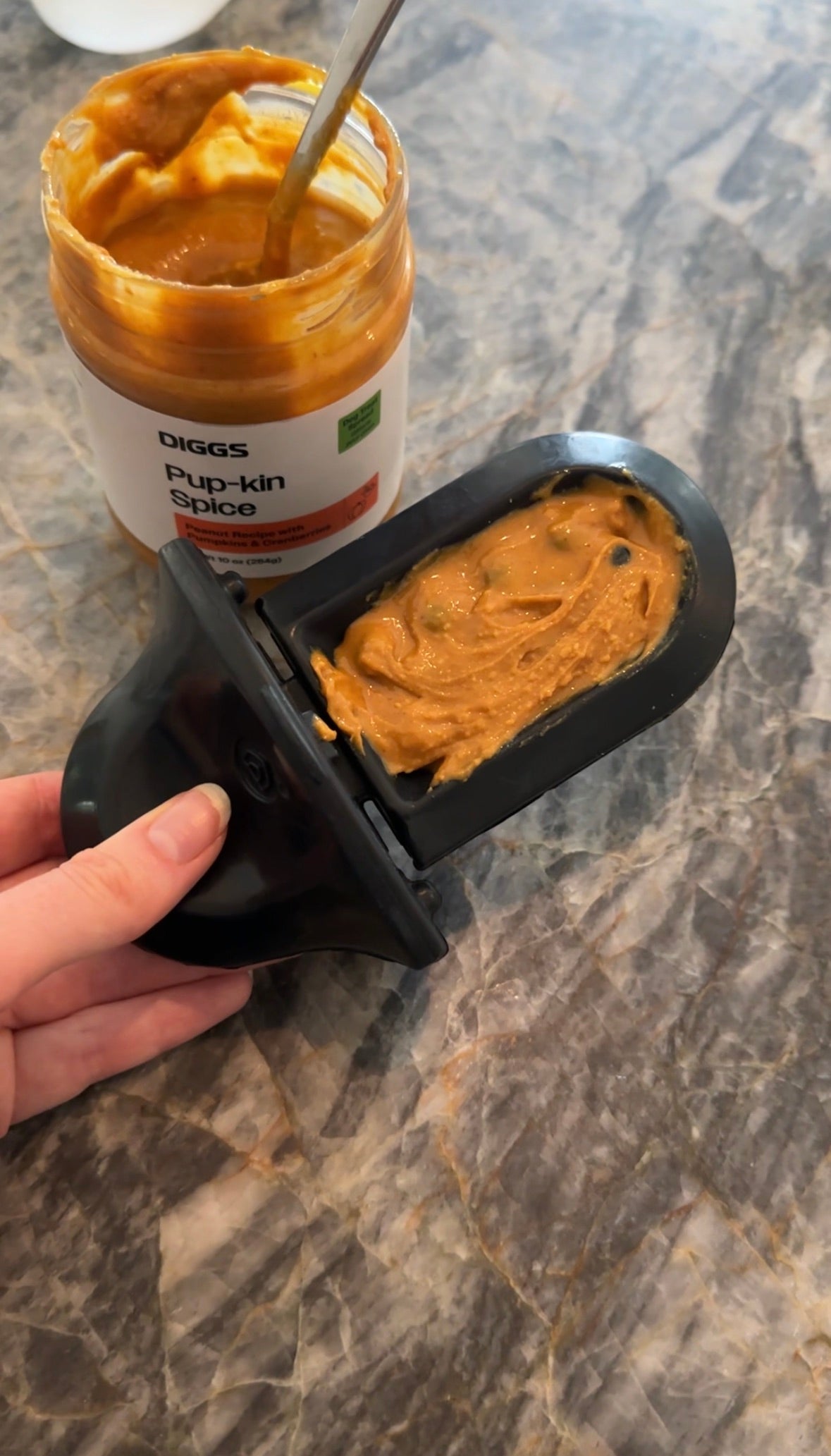 Diggs Pup-Kin Spice treat spread on a black Diggs Groov Training Aid